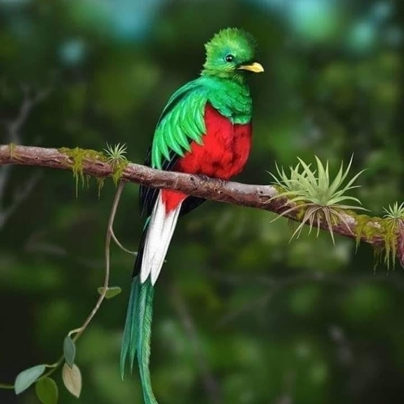 Meet your Posher, James - Picture 1 of 1